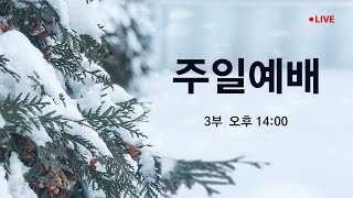 2025. 1. 19. 빛의교회 주일예배 LIVE 3부