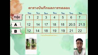 สรุปผลการทดลอง เรื่องประเภทของน้ำและการเจริญเติบโตของต้นถั่วเขียว | ก้องเกียรติ 8