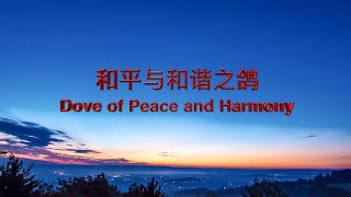 祥和之鸽加长版 来自得意洋洋的爱 Dove of Peace and Harmony extended version from Elated Love