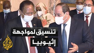 قضايا الحصاد - مصر والسودان.. تنسيق مكثف للتوصل إلى اتفاق بشأن سد النهضة
