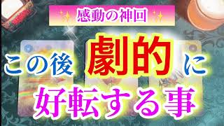 【神回✨】ぜひ見て頂きたい素敵すぎるメッセージです😭波動も上がる共通メッセージに鳥肌‼️