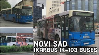 JGSP Novi Sad  | Ikarbus IK-103 Buses