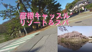 【桜の名所】彦根城ツーリング　彦根のおっさん