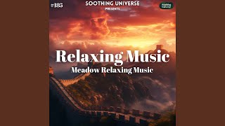 Relaxing Music (Meadow Relaxing Music) 185