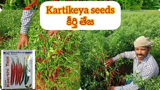 kartikeya seed keerti Teja contact: 8341340873