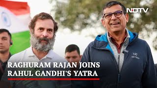 Ex RBI Chief Raghuram Rajan Joins Rahul Gandhi's Yatra. See Congress Post | The News