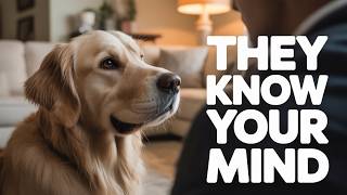 15 Secret Behaviors Dogs Only Show Their Favorite Person