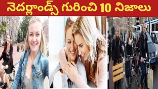 Netherlands గురించి 10 ఆసక్తికరమైన నిజాలు 😮 10 amazing facts about Netherlands, in telugu #shorts