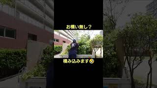 女性植木職人さん、剪定枝葉を運ぶ🎵