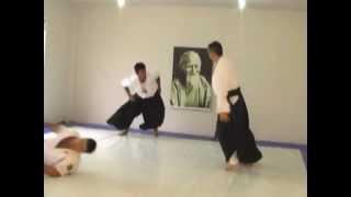 Sensei A. Guerios 5th Dan Aikikai (Prince Gharios El Chemor of Ghassan) performing Aikido techniques