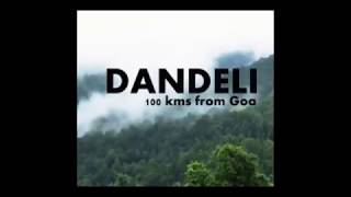 Amazing dandeli