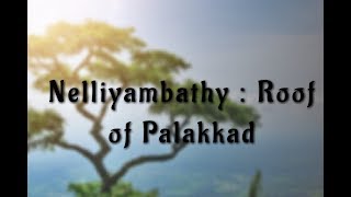 Nelliyambathy : Roof of Palakkad | നെല്ലിയാമ്പതി | പാലക്കാട്