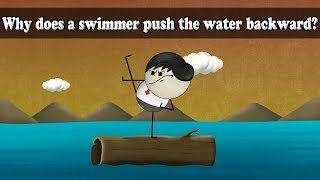 Newton's 3rd Law - Why does a swimmer push the water backward? | #aumsum #kids #science