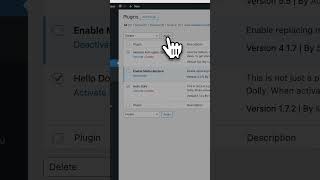 Delete or Deactivate Multiple WordPress Plugins Fast