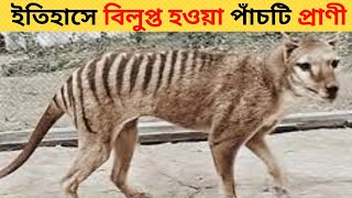 ইতিহাসে বিলুপ্ত হয়ে যাওয়া ৫ টি দুর্লভ প্রাণী। 5 Extinct Animals in History