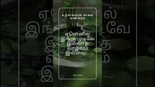 உற்சாகமான காலை வணக்கம் #motivation