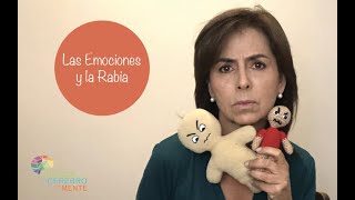 Serie: Las Emociones La Rabia