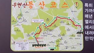 우면산 둘레길(2022-3-15)