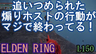 エルデンリング 地獄の侵入 追いつめられた煽りホストの行動がマジで終わっている！　ELDEN RING