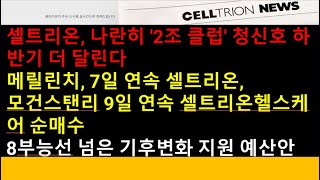 (셀트리온)셀트리온, 나란히 '2조 클럽' 청신호 하반기 더 달린다/메릴린치, 7일 연속 셀트리온, 모건스탠리 9일 연속 셀트리온헬스케어 순매수/8부능선 넘은 기후변화 지원 예산안