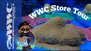 World Wide Corals Visit| Coral Heaven