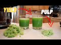 BEST CELERY JUICER AMZchef Juicer versus OMEGA MM900HDS Juicer | Juicer Review Yield Pulp Foam Taste