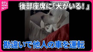 【まさか】後部座席に「犬がいる！」勘違いで他人の車を運転  なぜ？  アメリカ・モンタナ州