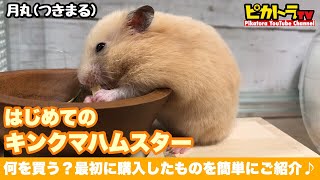 【キンクマ】ハムスター飼う為に購入した物！飼育ケージやハウスなど簡単簡潔にご紹介♪