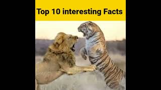 ⚡top 10 interesting facts in Telugu 😱#shorts#mgl facts Telugu 😲
