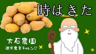 【週末農業】時はきた、、、じゃがいも収穫第一弾!!!