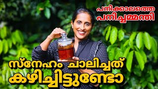 സ്നേഹം ചാലിച്ചത് കഴിച്ചിട്ടുണ്ടോ /പനി ചമ്മന്തി /Easy Chutney Recipe Malayalam /Fever Chutney