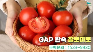 [신바람 농산물 협력농가 판매상품 1533-5930]GAP 완숙 찰 토마토 소과/중과/대과 2.5kg  판매