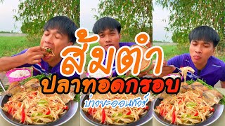 ส้มตำเผ็ดเผ็ดกับปลาแห้งทอดกรอบ บ่าวยะออนทัวร์