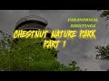 Kredit Video: D z P DAUZ COLLAB MOSKITO (CHESTNUT NATURE PARK PART 1)