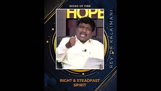 Word of Fire | Right \u0026 Steadfast Spirit