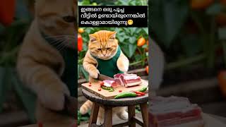 ഇവൻ ആള് പൂച്ച അല്ല പുലിയാണ്😻#shortsviral#catlover#catshorts#ai#shortsfeed