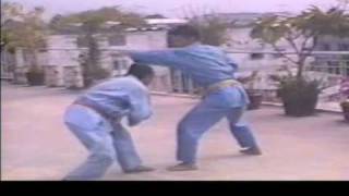 Song luyện 1 (Vovinam Việt Võ Đạo)