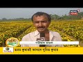 mango farming in malda annadata june 11 2021