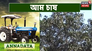 Mango Farming In Malda | Annadata | June 11, 2021