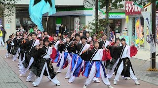 「 津々うらら 」四日市よさこい やったろ舞2019【ふれあいモール】