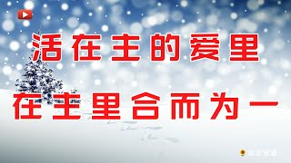 【诗篇133章】诗篇第133篇既是上行之诗，也是智慧之诗。诗人大卫讴歌了神的选民，在神的殿里如弟兄之间尽善尽美的和睦相处，融洽相交，发出了尽善尽美的馨香，如同圣膏油流淌的馨香。