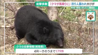 「クマが馬乗りになって…」男性が大けが　2カ月で179件の目撃情報　岐阜県が注意を呼びかけ (24/06/26 15:20)