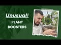 Pushing Houseplant Boundaries: Trying 3 Unusual & Unique Growth Hacks! 🌿📈🔥 | From Leggy to Bushy