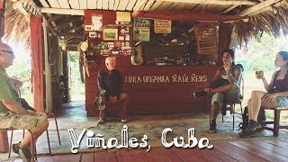 Cuban Organic Farm in Viñales + Jungle Hike to a Bat Cave!