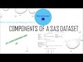 Basic sas programming topic 2:   proc contents