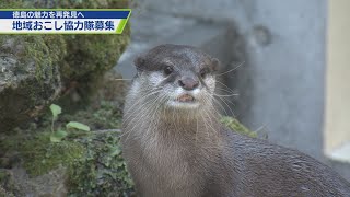 徳島市＆とくしま動物園 地域おこし協力隊募集【テレビトクシマ】