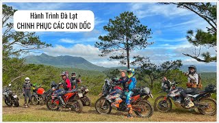 Đà Lạt Mã Đà 24hr Part 1 - Cung trail nhiều dốc thú vị cùng KTM 790 và CB500x - Bees Enduro Team