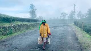 വാഗമൺ യാത്രക്കിടയിലെ കാഴ്ചകൾ #vagamon