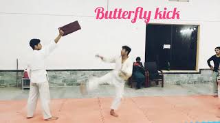 Butterfly Kick * Amazing Butterfly Kick * swat karate academy official'2021.
