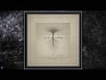 In a Forest Dark — To a God Unknown (2026) (Full Album Stream)